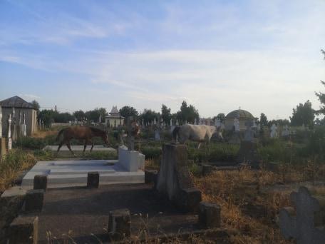 Cimitir Magurele