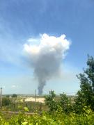 Ciuperca nucleara, undeva, langa Turnu-Magurele