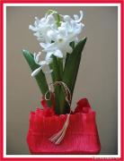 Martisor